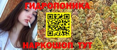 трава Гусь-Хрустальный