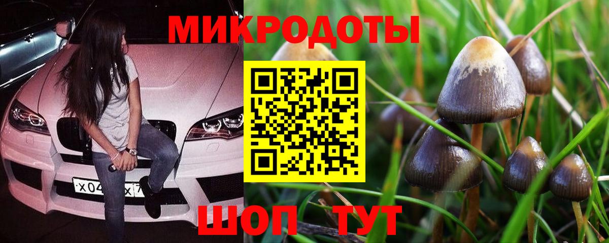 Псилоцибиновые грибы Magic Shrooms Москва